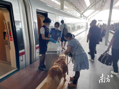 深圳故事|跨越三城，视障人士和导盲犬的特殊旅