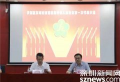 推动残疾人事业高质量发展 东晓街道残联第四届