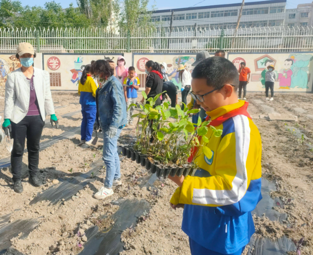 提质赋能让优质教育的阳光照亮每个孩子
